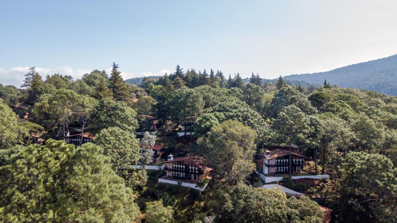 Monteverde مازاميتلا المظهر الخارجي الصورة