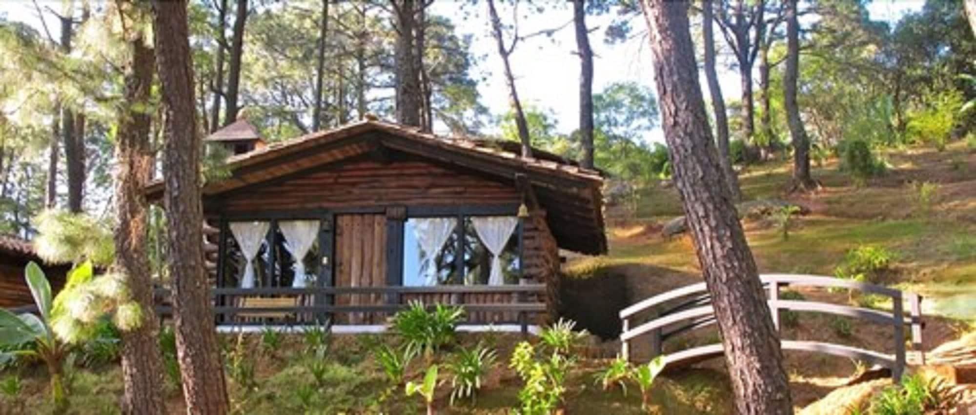 Monteverde مازاميتلا المظهر الخارجي الصورة