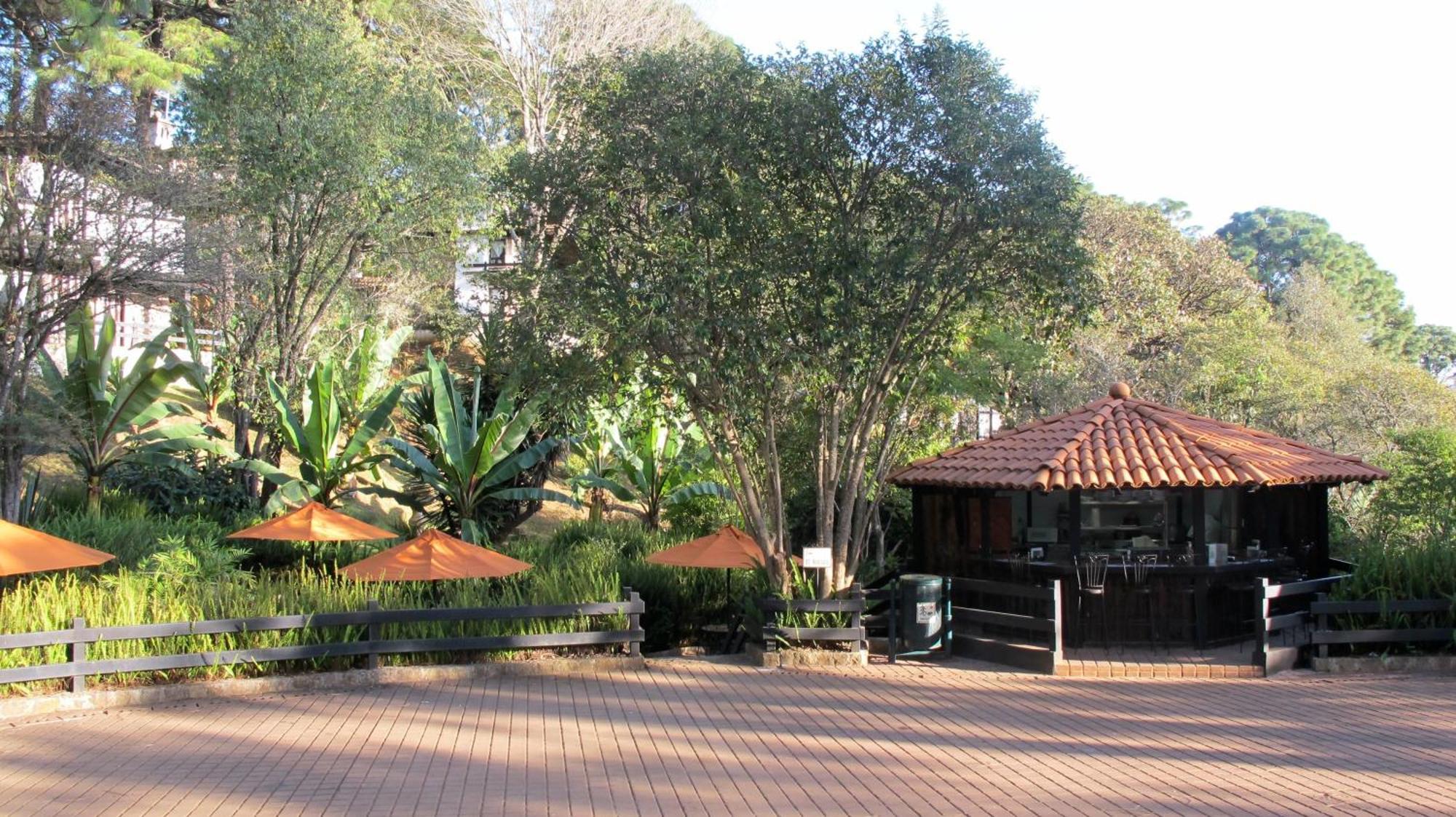 Monteverde مازاميتلا المظهر الخارجي الصورة